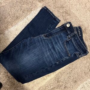 American Eagle Outfitters Women's Dark Blue Skinny Jeans